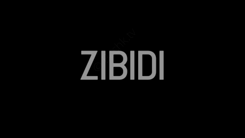 Film "Zibidi"